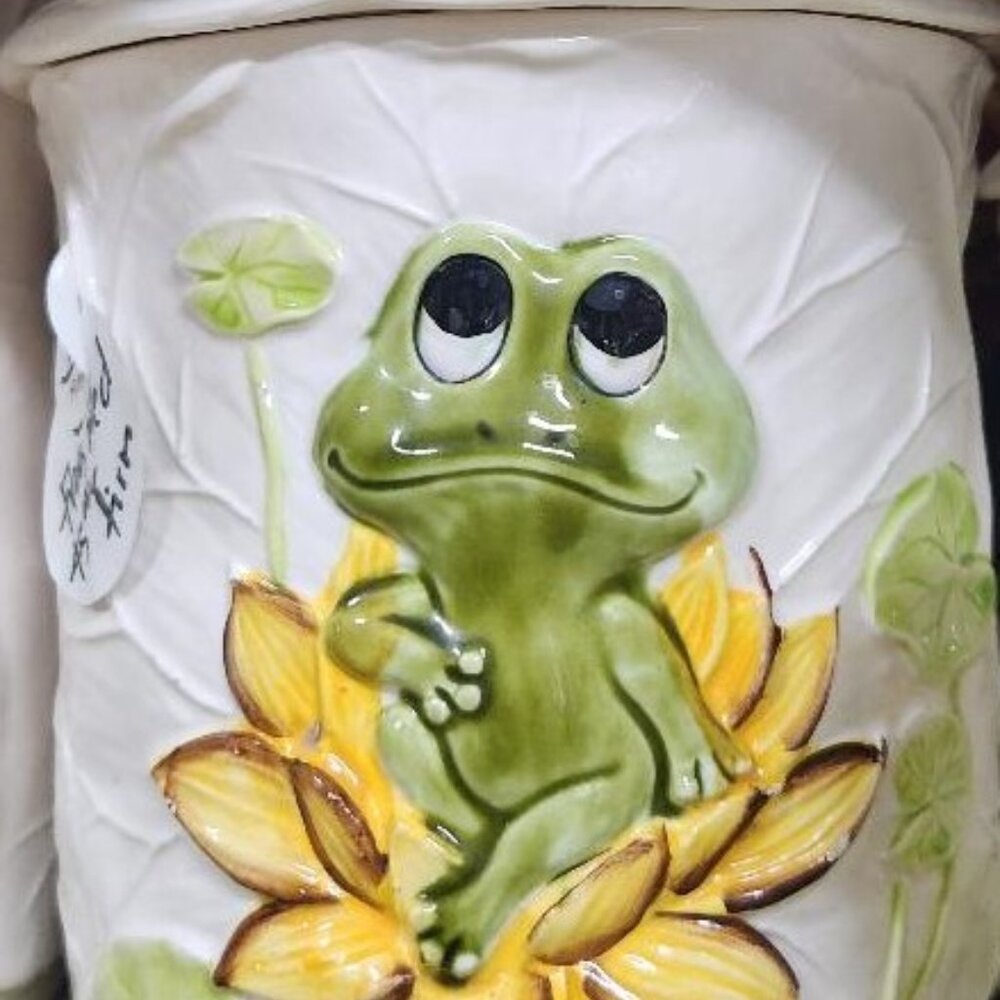 Neil The frog Canister